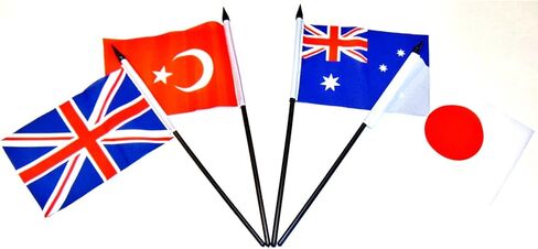 G-20 (Group of 20) Flag Set 20 Polyester 4x6 Inch Flags, One Flag for Each Country in the G-20 in Saudi Arabia