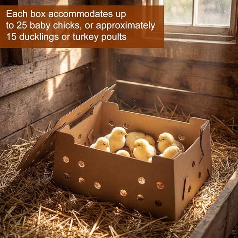 Gilprop 10 Sets Baby Chick Shipping Box Kit Including 10 Boxes and 10 Pads, 25 Chicks Per Box, 12 x 9 x 6 Inches Store Poultry Travel Boxes Pet Carrier for Duck, Bird, Small Animals in Kuwait