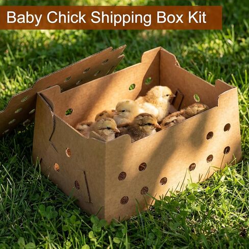 Gilprop 10 Sets Baby Chick Shipping Box Kit Including 10 Boxes and 10 Pads, 25 Chicks Per Box, 12 x 9 x 6 Inches Store Poultry Travel Boxes Pet Carrier for Duck, Bird, Small Animals in Kuwait