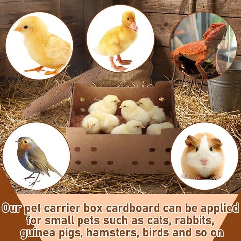 Gilprop 10 Sets Baby Chick Shipping Box Kit Including 10 Boxes and 10 Pads, 25 Chicks Per Box, 12 x 9 x 6 Inches Store Poultry Travel Boxes Pet Carrier for Duck, Bird, Small Animals in Kuwait