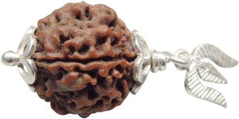 خرز فضفاض من بذور شارموخي رودراكشا بأربعة وجوه، خرز رودراكشا (Elaeocarpus Ganitrus) أصلي 100% من Arihant Gems And Jewels in Kuwait