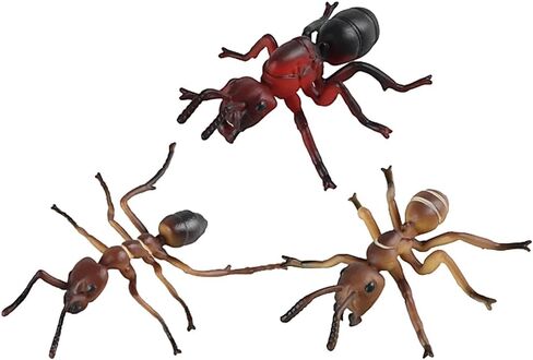 BESPORTBLE Simulated Ant Model Set of 3 Plastic Ant Figurines Garden Statue Desktop Ornament for Home Office Decoration in Kuwait