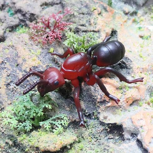 BESPORTBLE Simulated Ant Model Set of 3 Plastic Ant Figurines Garden Statue Desktop Ornament for Home Office Decoration in Kuwait