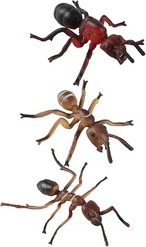 BESPORTBLE Simulated Ant Model Set of 3 Plastic Ant Figurines Garden Statue Desktop Ornament for Home Office Decoration in Kuwait