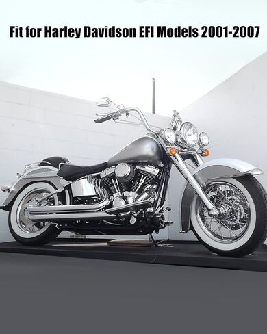 منظم ضغط مع فلتر الوقود السكني مناسب لموديلات Harley Davidson EFI 2001-2007 استبدال 27408-01 61001-01 62373-01 in Kuwait