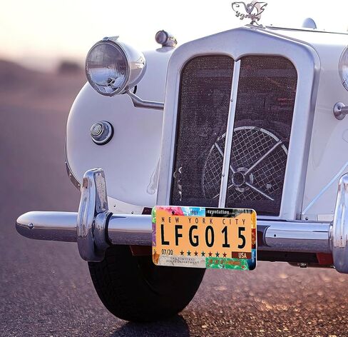License Plate Frame for Car, All Music Verson Plate Frame with Screws for Standard Us Canada License Plate Holder, Stainless Steel Car Accessories 12x6 Inch in Saudi Arabia