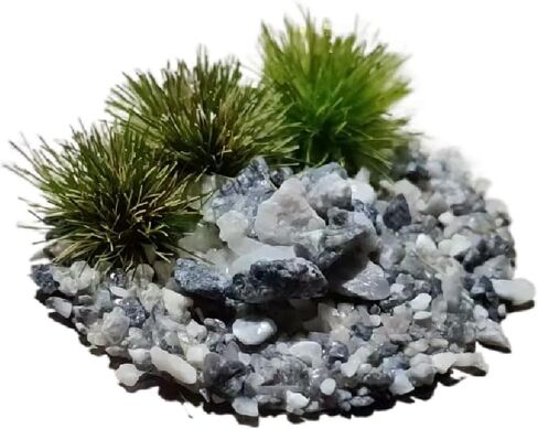 5Pcs Model Warhammer Base Scene - 0.9 Inch Terrain Topper for Warhammer, D&D & Wargames,Tabletop RPG in Saudi Arabia