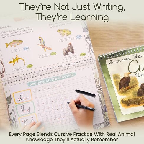 Animal Kingdom Grooved Cursive Workbook for Kids Ages 8-12 - Graceful By Design - 8.5X11 Grooved Handwriting Practice for Kids with 4 Magic Ink Pens, Refills - with Printable Activities, Videos in Saudi Arabia