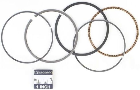 بديل لمجموعة حلقات بريجز آند ستراتون 843953 OEM in Kuwait