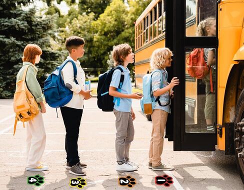 36pcs Line Up Spots Stickers for Classroom Floor, Waterproof Number Dots Stickers for Classroom, Removable Numbered Markers with Task & Blank Decals for Line Up, School Bus, Teacher Supplies in Saudi Arabia