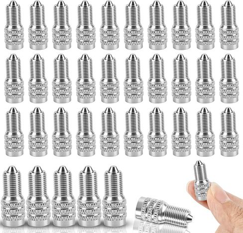 40 Pcs Double Seal Valve Stem Caps Metal Valve Cap Bulk Inflate Tire Valve Flow Through Tires Air Cap for Car Van Trailers Semi Trailer Boats in Kuwait
