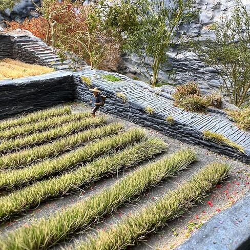 Long Grass Tufts, 4pcs per Box 4.33x2.36 Inch Model Grass Clusters for Dioramas, Railway Scenery, Miniature Landscape, Train & Car Scene Models (Autumn Green) in Saudi Arabia