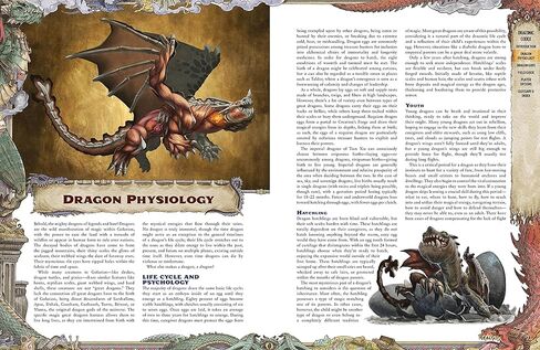 Pathfinder Lost Omens Draconic Codex - دليل التنين المكون من 224 صفحة لمغامرات ألعاب RPG على الطاولة وإنشاء الشخصيات in Kuwait