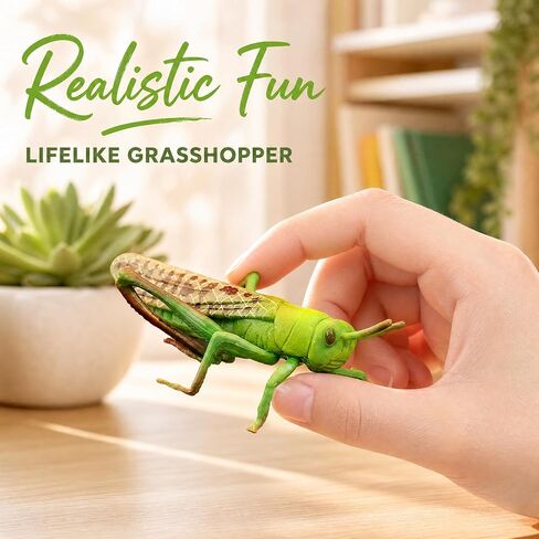 Toyvian 2 pcs Realistic Locust Plastic Model Educational for Learning and Nature Exploration Lightweight Figurine for Home and Office Decoration in Kuwait