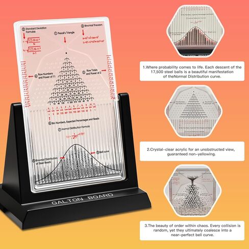 Galton Board Probability & Statistics STEM Learning Kit for Physics Classrooms Hands-On Math Teaching Aid with 2800 Steel Beads Teacher & Homeschool Resource in Saudi Arabia