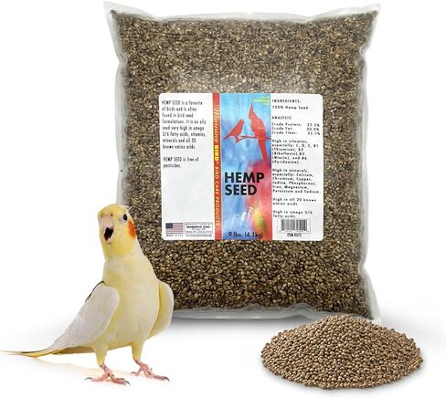 Morning Bird Hemp Seed, Healthy Bird Food with Protein, Fat, Fiber, Calcium, Minerals, Vitamins, and Amino Acids, 1.5 lbs in Saudi Arabia