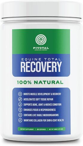 Power+ Horse Supplement (620g/1.36lbs - 100 Servings) - 9 Equine Amino Acids Plus Probiotics for Horses - No Added Sugar, No Soy, No Fillers - Horse Joint Support Supplement in Saudi Arabia