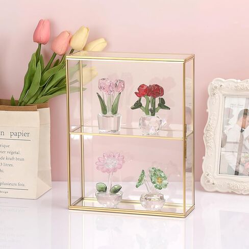 JUXYES 2 Tiers Tabletop Glass Small Figurine Display Case for Collectibles with Latch Door, Modern Clear Hobby Display Case Box with Mirror Bottom, Gold Dust Proof Case for Figurines Trinket Crystal in Kuwait