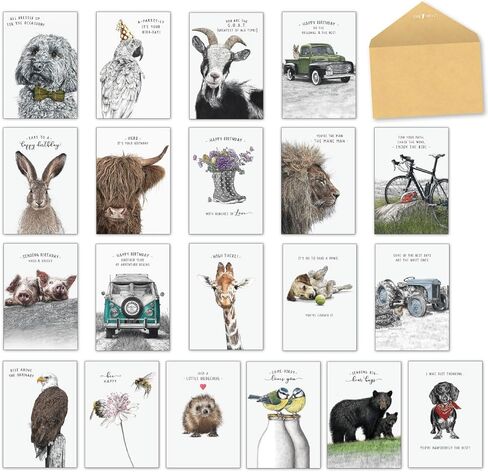 Leanin' Tree - Life In Pencil - صُنع في الولايات المتحدة الأمريكية - صندوق متنوع من 20 بطاقة لجميع المناسبات مع مغلفات، صندوق تشكيلة بطاقات التهنئة، يتضمن عيد ميلاد، شكرًا لك، فارغًا، تشجيعًا، صداقة وتمنيًا لك بالشفاء in Kuwait