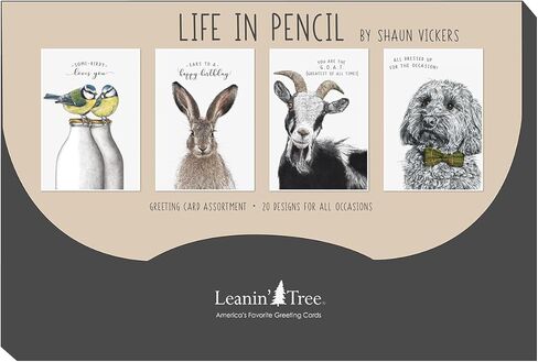 Leanin' Tree - Life In Pencil - صُنع في الولايات المتحدة الأمريكية - صندوق متنوع من 20 بطاقة لجميع المناسبات مع مغلفات، صندوق تشكيلة بطاقات التهنئة، يتضمن عيد ميلاد، شكرًا لك، فارغًا، تشجيعًا، صداقة وتمنيًا لك بالشفاء in Kuwait