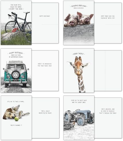Leanin' Tree - Life In Pencil - صُنع في الولايات المتحدة الأمريكية - صندوق متنوع من 20 بطاقة لجميع المناسبات مع مغلفات، صندوق تشكيلة بطاقات التهنئة، يتضمن عيد ميلاد، شكرًا لك، فارغًا، تشجيعًا، صداقة وتمنيًا لك بالشفاء in Kuwait