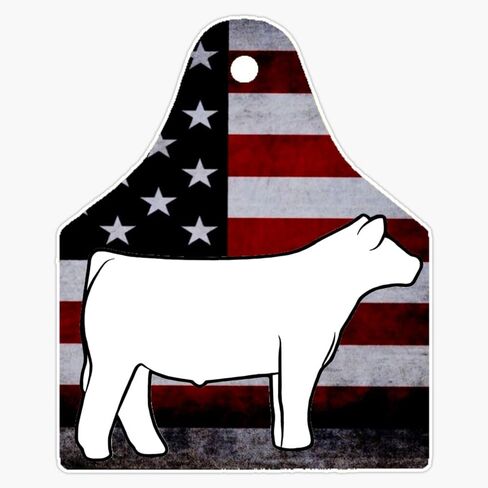 American Flag Ear Tag - Show Steer - Not For Resale Without Permission Sticker Bumper Sticker Vinyl Decal 5" in Saudi Arabia