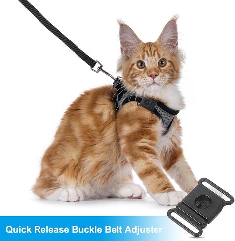PATIKIL Plastic Safety Breakaway Buckles Webbing Strap Quick Release Buckle Belt Adjuster for Bra Badge Neck Lanyard in Kuwait