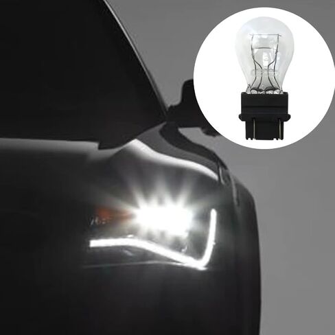 3157 White Light Bulb 3157 Miniature Bulb Mini Bulb, Plastic Base for Brake Lights, Taillight, Turn Signal, Parking (10 Pack) in Kuwait