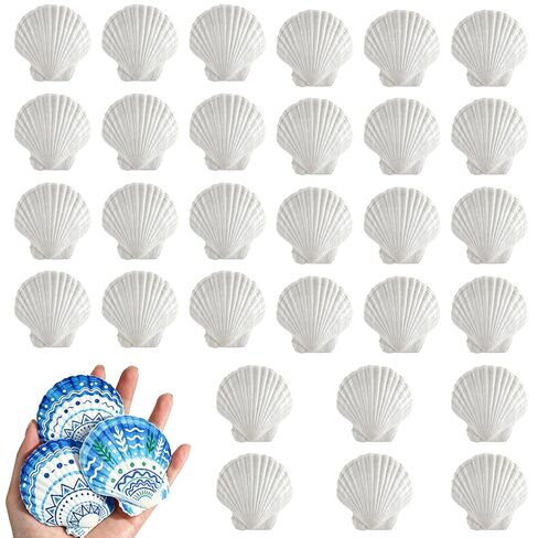 30PCS Natural White Scallop Shells, 2.5-3 Inch Seashells for Craft, Beach Decor, Candle Holder, Home Decorations, Air Plant Holder, Succulent Planter, Fish Tank Ornaments, Wedding Party Supplies in Saudi Arabia