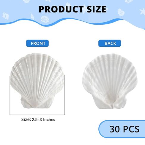 30PCS Natural White Scallop Shells, 2.5-3 Inch Seashells for Craft, Beach Decor, Candle Holder, Home Decorations, Air Plant Holder, Succulent Planter, Fish Tank Ornaments, Wedding Party Supplies in Saudi Arabia