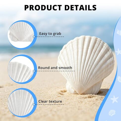 30PCS Natural White Scallop Shells, 2.5-3 Inch Seashells for Craft, Beach Decor, Candle Holder, Home Decorations, Air Plant Holder, Succulent Planter, Fish Tank Ornaments, Wedding Party Supplies in Saudi Arabia