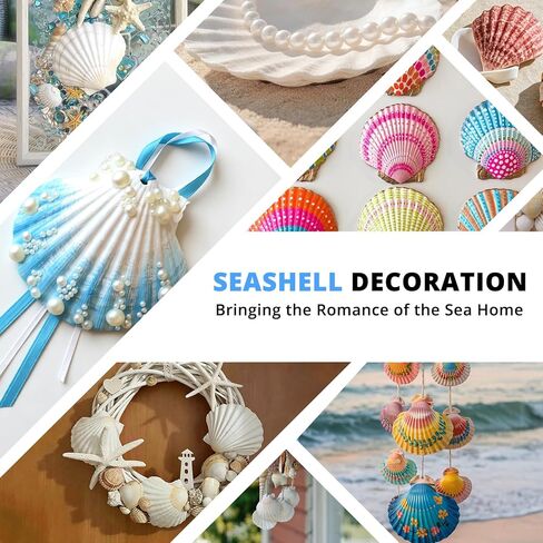 30PCS Natural White Scallop Shells, 2.5-3 Inch Seashells for Craft, Beach Decor, Candle Holder, Home Decorations, Air Plant Holder, Succulent Planter, Fish Tank Ornaments, Wedding Party Supplies in Saudi Arabia