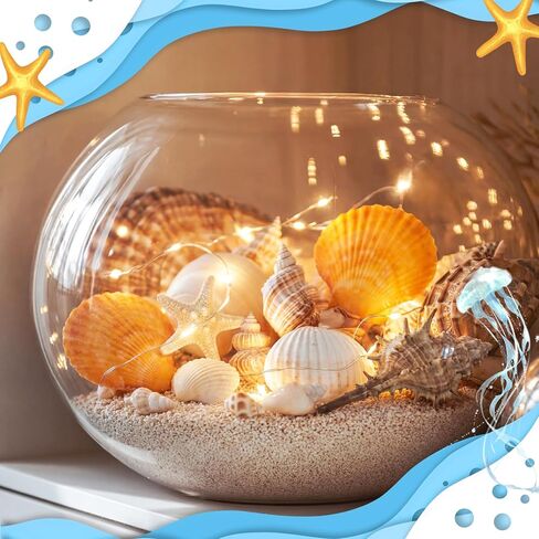 Geelin 35 Pcs Large Sea Shells Mixed Beach Seashells 35 Kinds 0.8"-3.5" Various Sizes Natural Seashell Starfish Ocean Shells Conch for DIY Crafts Vase Fillers Beach Party Fish Tank Wedding Home Decor in Kuwait