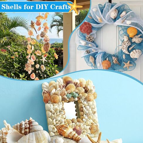 Geelin 35 Pcs Large Sea Shells Mixed Beach Seashells 35 Kinds 0.8"-3.5" Various Sizes Natural Seashell Starfish Ocean Shells Conch for DIY Crafts Vase Fillers Beach Party Fish Tank Wedding Home Decor in Kuwait