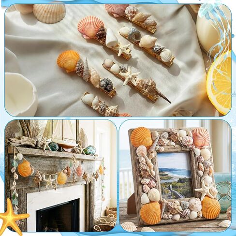 Geelin 35 Pcs Large Sea Shells Mixed Beach Seashells 35 Kinds 0.8"-3.5" Various Sizes Natural Seashell Starfish Ocean Shells Conch for DIY Crafts Vase Fillers Beach Party Fish Tank Wedding Home Decor in Kuwait