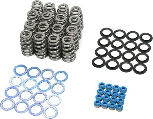 BTR Brian Tooley Racing .650 Beehive Valve Spring Kit | SK024 | Fits 6.2L 6.4L HEMI Engines | High Lift Valvetrain Control Upgrade in Kuwait