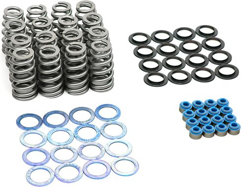 BTR Brian Tooley Racing .650 Beehive Valve Spring Kit | SK024 | Fits 6.2L 6.4L HEMI Engines | High Lift Valvetrain Control Upgrade in Kuwait