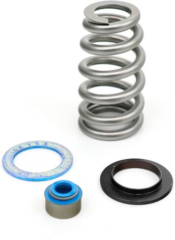 BTR Brian Tooley Racing .650 Beehive Valve Spring Kit | SK024 | Fits 6.2L 6.4L HEMI Engines | High Lift Valvetrain Control Upgrade in Kuwait