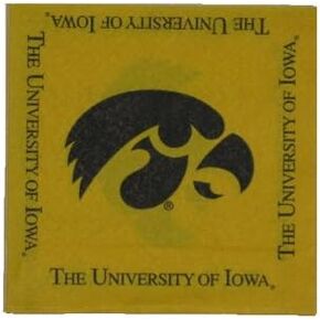 NCAA Iowa Hawkeyes Cocktail Napkins