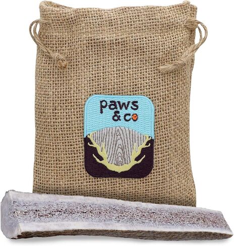 Paws & Co Large Split Elk Antler Dog Chew | for Medium to Large Dogs | 7 Inch | Premium A Grade, Naturally Shed, Sustainable, Cruelty-Free | Promotes Dental Health in Saudi Arabia