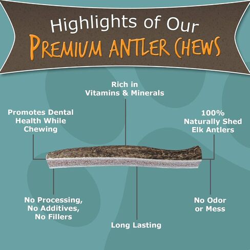Paws & Co Large Split Elk Antler Dog Chew | for Medium to Large Dogs | 7 Inch | Premium A Grade, Naturally Shed, Sustainable, Cruelty-Free | Promotes Dental Health in Saudi Arabia