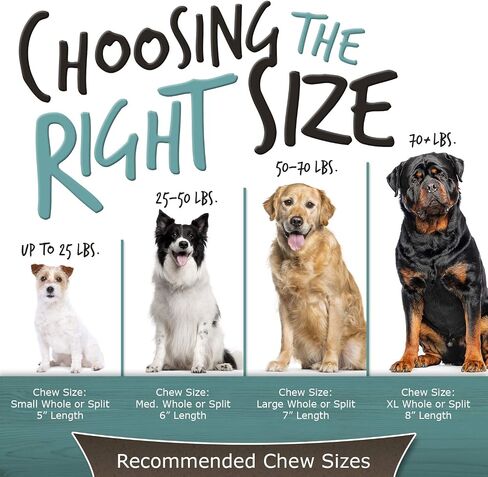 Paws & Co Large Split Elk Antler Dog Chew | for Medium to Large Dogs | 7 Inch | Premium A Grade, Naturally Shed, Sustainable, Cruelty-Free | Promotes Dental Health in Saudi Arabia