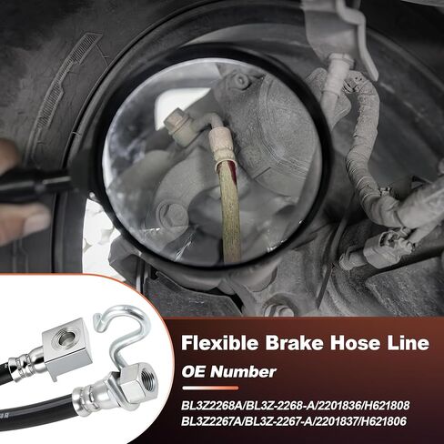 استبدال خرطوم الفرامل الهيدروليكي الخلفي Motoforti لسيارة Ford F-150 Lobo 2009 2010 2011 BL3Z2268A خط الفرامل المطاطي المرن طقم إصلاح خرطوم الفرامل الخلفي الأيسر أنبوب مرن 2201836 قطعتان in Kuwait
