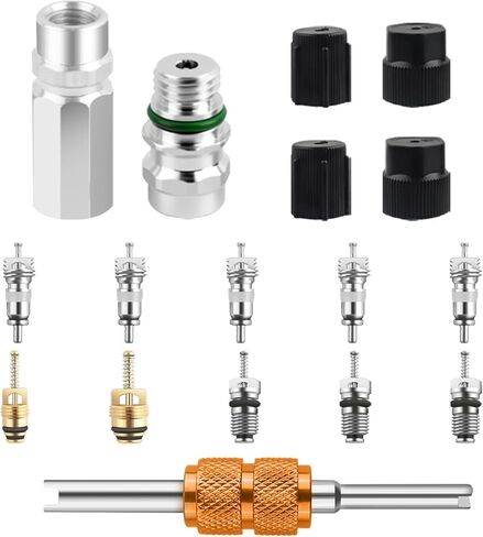 17PCS AC Valve Core Kit,Double Head A/C Valve Core Removal Tool Set with R134a R12 Valves Cores,High/Low Pressure Side Couplings,Universal A/C Tool Fit for Refrigeration System Repair in Kuwait