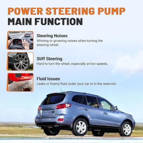 21-5354 Power Steering Pump with Pulley Compatible with Hyundai Santa Fe 2003-2006, Kia Sedona 2002-2005 V6 3.5L Replace 215354 965354 AA1215354 Power Assist Pump, Right Passenger Side in Kuwait