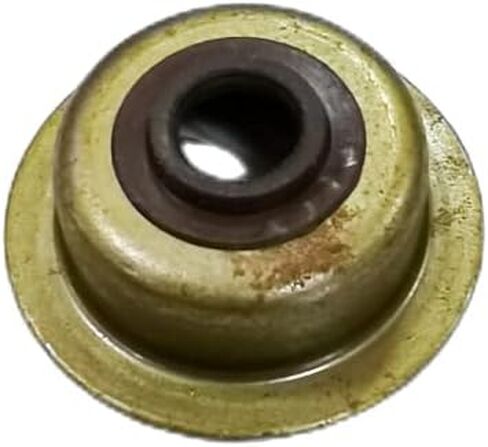 JA-ALL Complete Engine Valve set for Coleman Trail BT200X, CT200U, CT200U-EX Mini Bikes. Coleman KT196 Go-Kart in Saudi Arabia