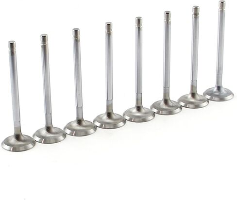 Speedmaster PCE273.1003 Compatible with Chevy SBC 350 1.600" +100 11/32" Stainless Steel Exhaust Valves in Kuwait