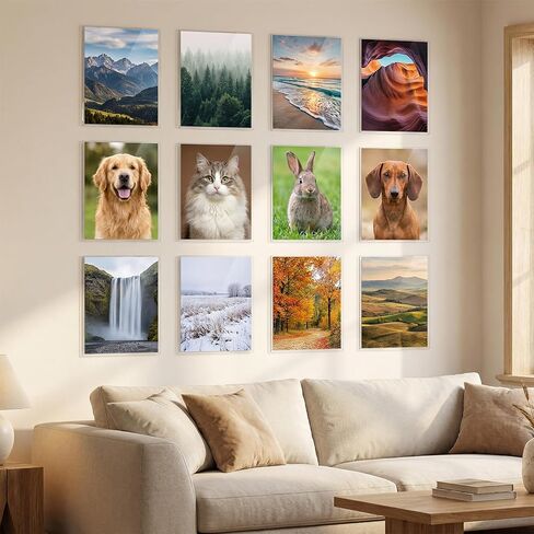 12 Pcs Toploader Durable Clear PVC Sheet Protectors, 11x14in Clear Sheet Protectors, Semi Rigid Plastic Paper Page Protector Sleeves, Hard Plastic Paper Page Protector for Pictures Photos Prints in Kuwait