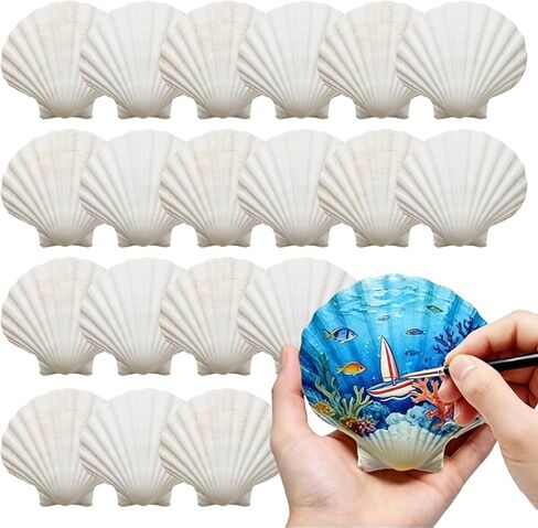 Large Seashells for Crafts 20 PCS, 4–5 Inch Scallop Shells Natural White for DIY Painting, Beach Decor, Wedding Party Supplies, Home Decor in Saudi Arabia