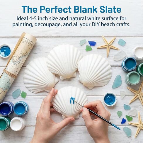 Large Seashells for Crafts 20 PCS, 4–5 Inch Scallop Shells Natural White for DIY Painting, Beach Decor, Wedding Party Supplies, Home Decor in Saudi Arabia